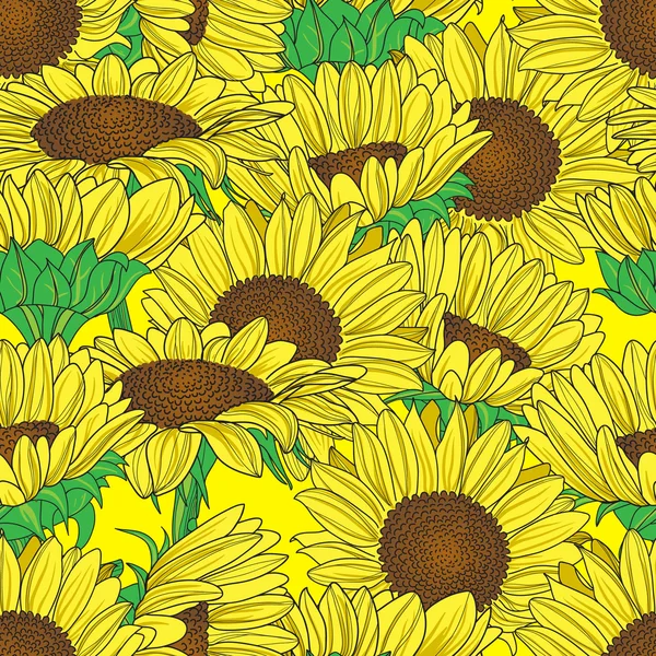 Modèle sans couture avec tournesols. — Image vectorielle