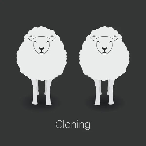 Ilustrace ovcí a klonování ovcí na tmavém pozadí — Stockový vektor