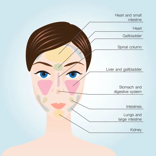 Acupuncture points on face — Stock Vector