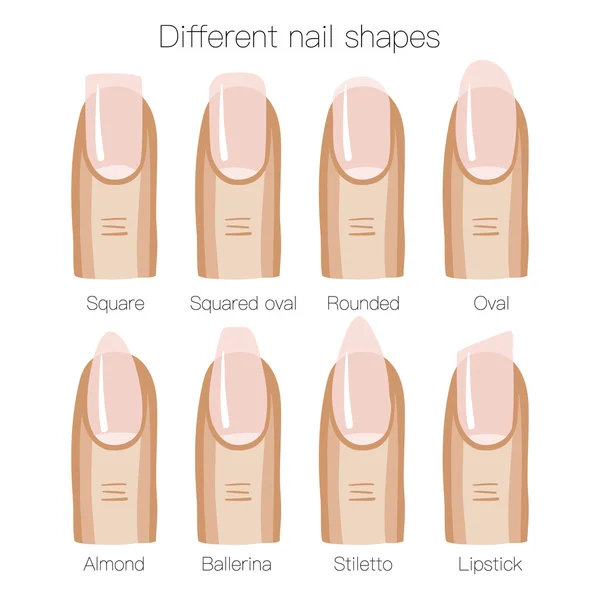 Set of different shapes of nails — Stock Vector