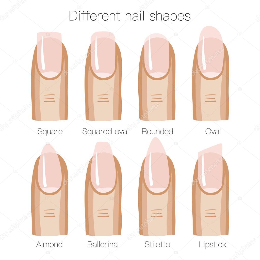 Set of different shapes of nails — Stock Vector © merion_merion #97775836