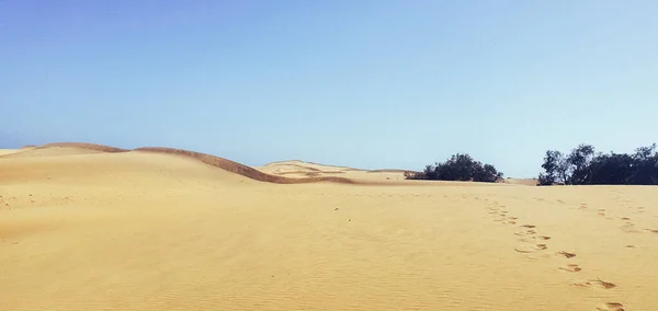 Belo Deserto Arenoso Com Pegadas Pessoas — Fotografia de Stock