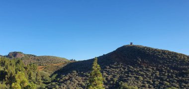 mavi gökyüzü arkaplanlı yeşil manzara