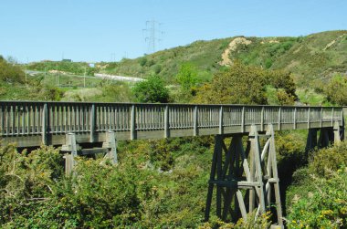 Ormanın yok olma noktası açısından ahşap köprü.