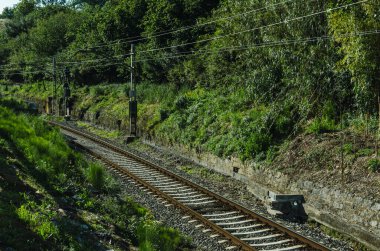 İnsan trafiği olmayan boş bir istasyonda demiryolu rayları