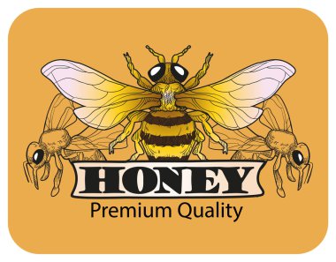 Arı bir tatlım. logo ve Etiketler. Vektör çizim.