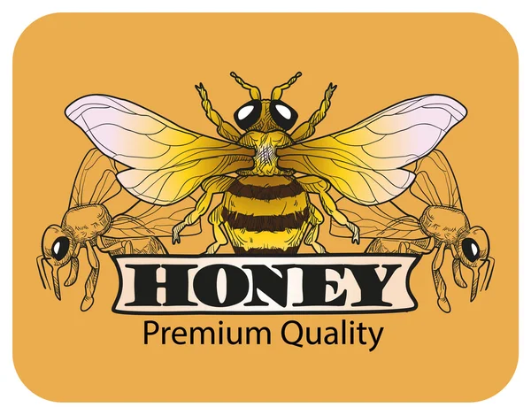 Bee an Honey. logotipo y lables. Ilustración vectorial . — Archivo Imágenes Vectoriales
