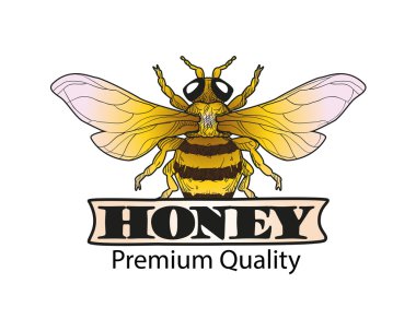 Arı bir tatlım. logo ve Etiketler. Vektör çizim.