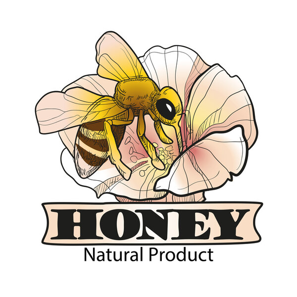 Пчела с медом. логотип и столы. Векторная иллюстрация
.