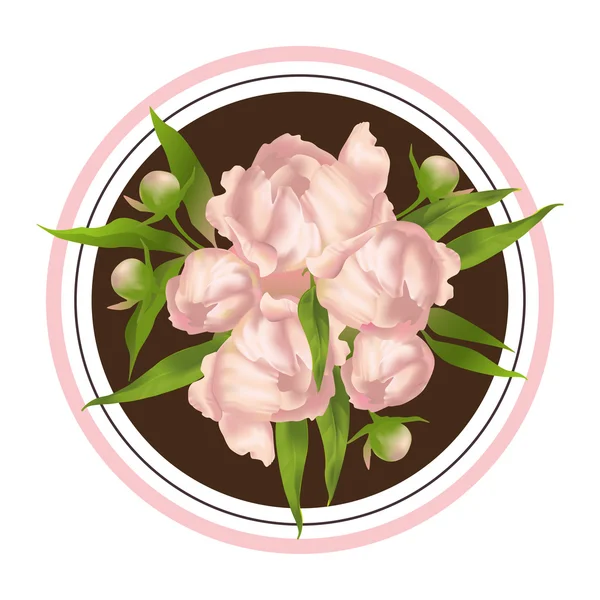 Rózsaszín pünkösdi rózsa. Vektoros illusztráció — Stock Vector