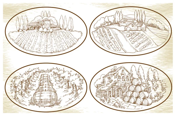 Bosquejo hecho a mano campos de uva y viñedos . — Archivo Imágenes Vectoriales