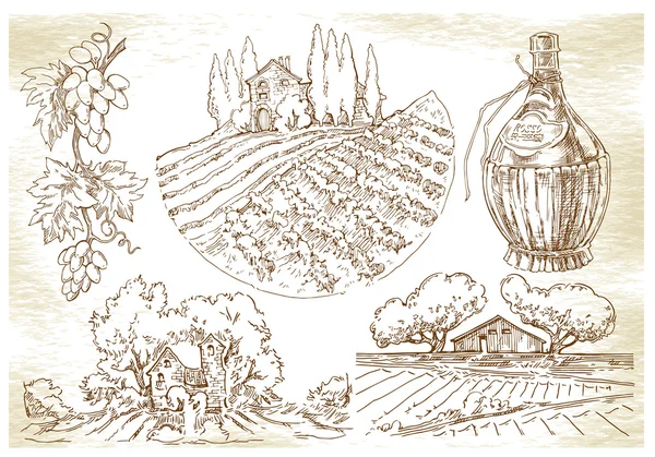 手工素描葡萄的田地和葡萄园. — 图库矢量图片