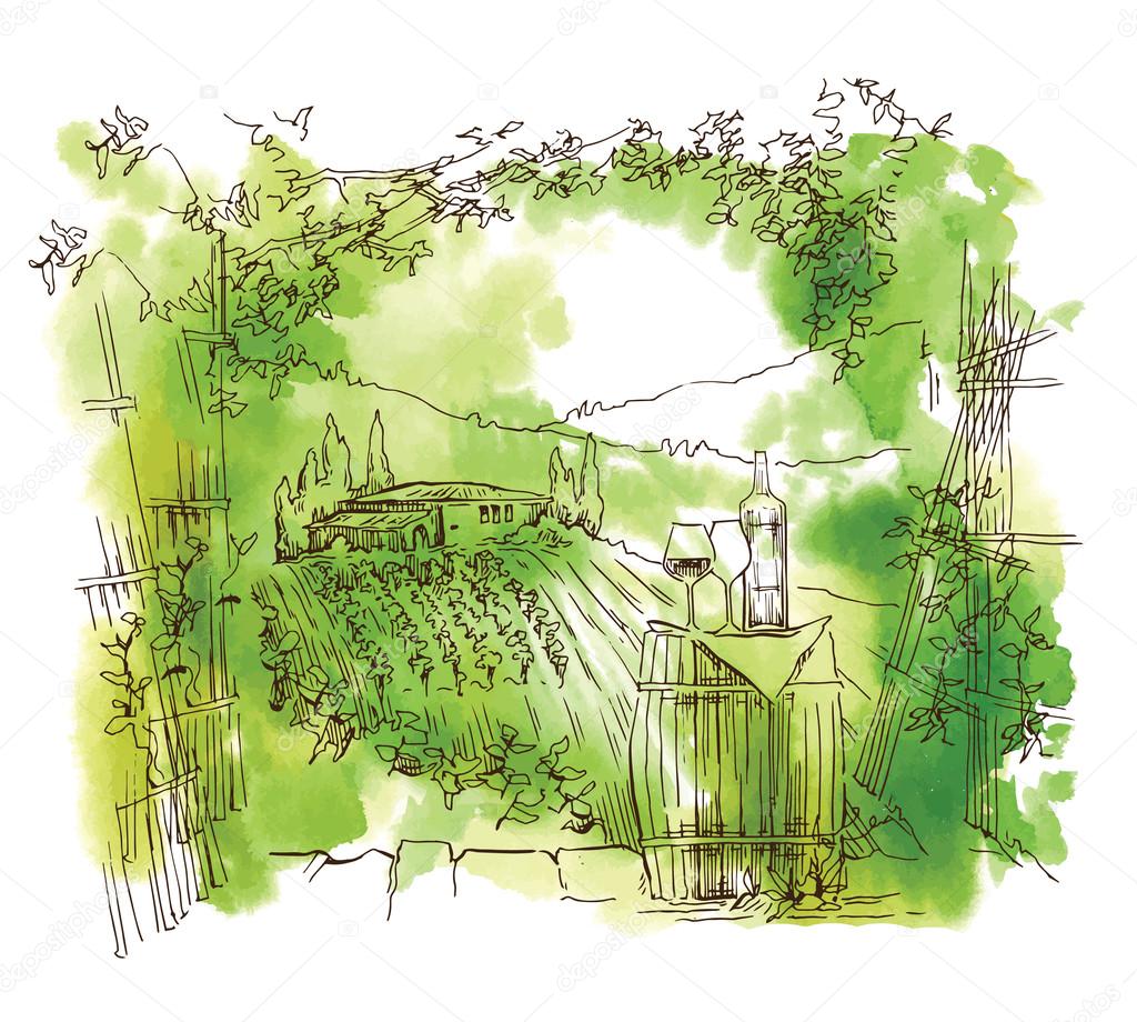 Hand drawn sketch grape fields and vineyards.