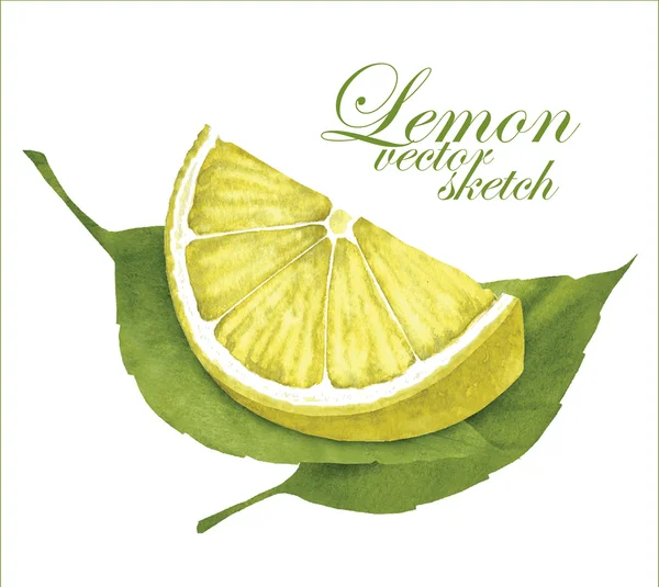 Limon çizimler.