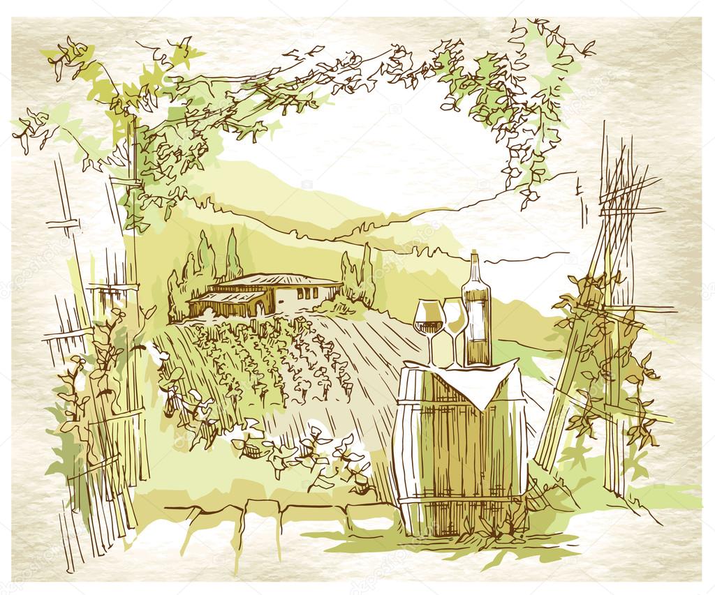 Hand made sketch grape fields and vineyards.