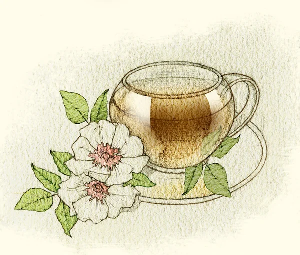 Schets van thee kopjes en theepotten. Ware grootte 8Ã — raster illustraties. — Stockfoto