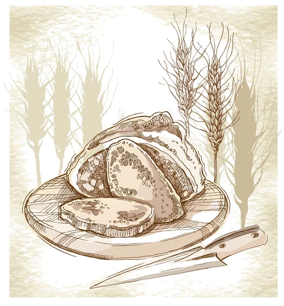 面包和穗状花序示意图. — 图库矢量图片