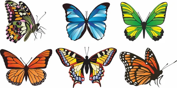 Conjunto Vectorial Mariposas Colores Piezas Diferentes Mariposas Sentadas Voladoras — Vector de stock