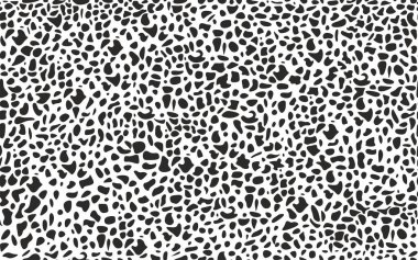 Vektörsüz Dalmaçyalı köpek derisi. Siyah ve beyaz tek renkli lekeler. Doku arkaplanı yineleniyor.