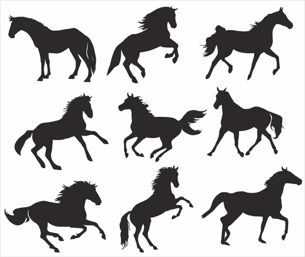 Vector Set Silhouetten Van Paarden Verschillende Poses Gaat Rent Speelt — Stockvector