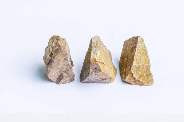 Природный образец фораминиферального известняка - органогенные осадочные породы, рельефы, резьба и скульптура, на белом фоне.