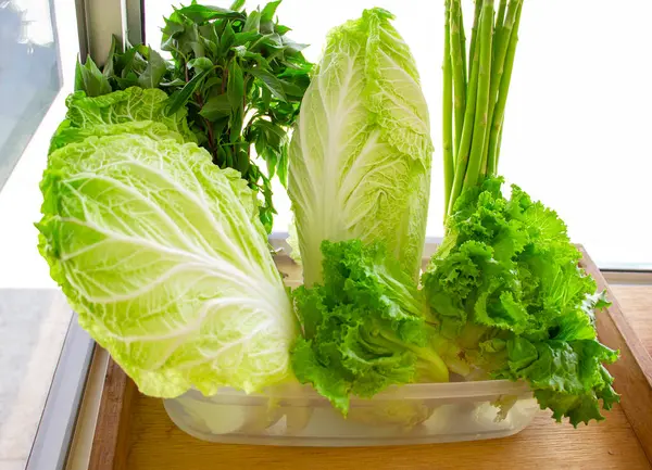 Fresh Vegetable Salad Lettuce Celery Cucumber Great Ingredient Any Food — Stock Photo, Image