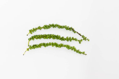 Biber bitkisi küçük bir demet granül üreten bir bitkidir. Tıbbi özellikleri olan şifalı bir bitki olarak sınıflandırılır. Baharatların kralı baharatlı bir tatla kurutulmuş bibere dönüştürülebilir ve baharat yapımında kullanılabilir..