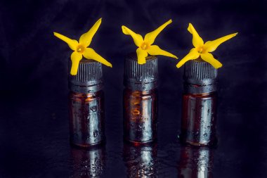 Su damlalarıyla kaplı üç kahverengi cam şişe ve siyah gözkapaklarında üç sarı çiçek. Bitkisel özler, temel yağlar ve kozmetik hammadde konsepti.