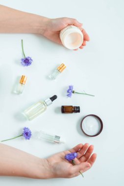 Kozmetik mataralar ve kavanozlar iki elle krema ve mavi çiçekleri birbirine karıştırıyor. Aromaterapi ve cilt tedavisi kavramı.