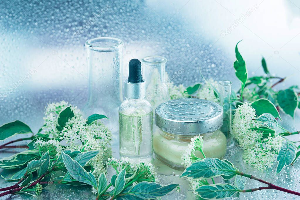 Glass flasks, a bottle of oil with glass-dropper, big jar of cream and white blooming twigs on a silver background, everything covered with drops. Natural cosmetics and spa.