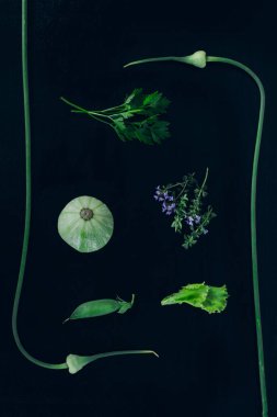 Yeşillik ve sebzelerin çizimi siyah arka planda iki genç sarımsak sapı şeklinde. Sağlıklı beslenme, vejetaryen yiyecekler, vitamin içeren ürünler..