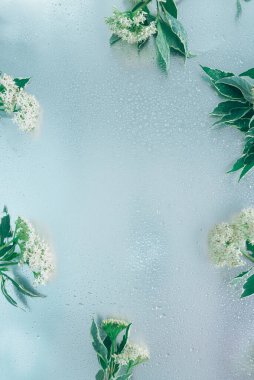 Su damlalarıyla ıslanmış gümüş bir zemin ve kenarlarında yeşil yapraklar olan beyaz bir çiçek. Damlalı çiçek arkaplanı.