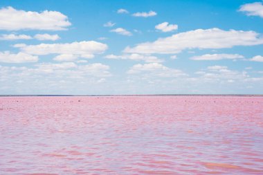 Pembe gölün minimalist manzarası. Suda küçük kazıklar ve beyaz bulutlu mavi gökyüzü. Pembe su manzarası.