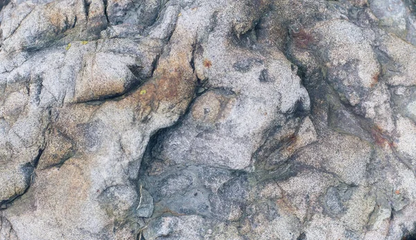 Değişik taş dokusu kıvrımlar, ampuller, doğal çizgiler ve noktalarla birbirine yakın. Kopya alanı ile doğal desenli arkaplan.