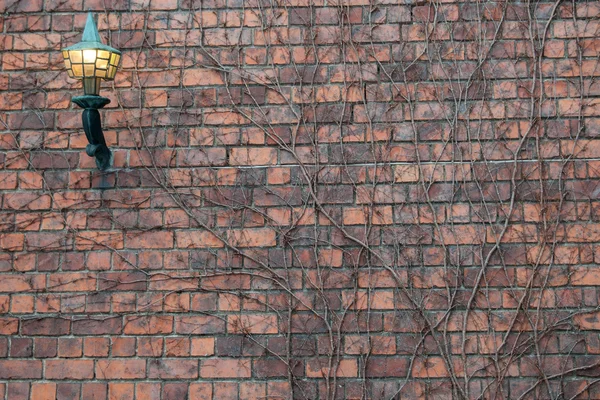 Old wall with lamp and branches — Stock Photo, Image