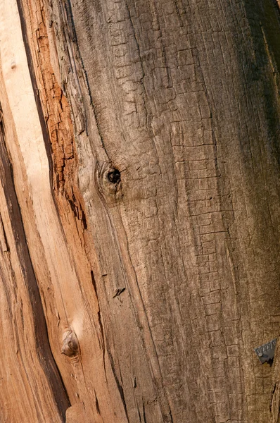 Textura de madera natural —  Fotos de Stock