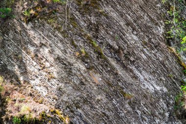 Ormandaki kaya, taşlar, arka plan, doğa, Karpatların doğası, orman, kayadaki ağaç, nehir, gri taşlar, yeşil orman