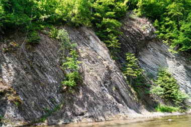 Ormandaki kaya, taşlar, arka plan, doğa, Karpatların doğası, orman, kayadaki ağaç, nehir, gri taşlar, yeşil orman