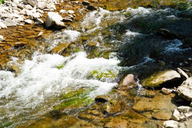Dağlardaki engebeli sular, kayaların üzerinden sular, orman, doğa, dağlar, şelale, arka plan, çağlayan, akarsu, karpatların doğası, dağ nehri, dağ lagünü, gök mavisi su.