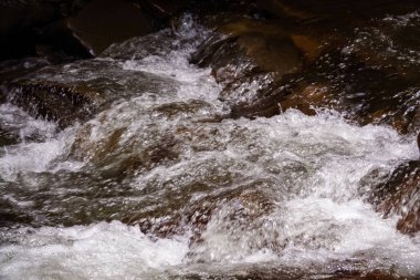 Dağlardaki engebeli sular, kayaların üzerinden sular, orman, doğa, dağlar, şelale, arka plan, çağlayan, akarsu, karpatların doğası, dağ nehri, dağ lagünü, gök mavisi su.