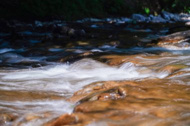 Dağlardaki engebeli sular, kayaların üzerinden sular, orman, doğa, dağlar, şelale, arka plan, çağlayan, akarsu, karpatların doğası, dağ nehri, dağ lagünü, gök mavisi su.