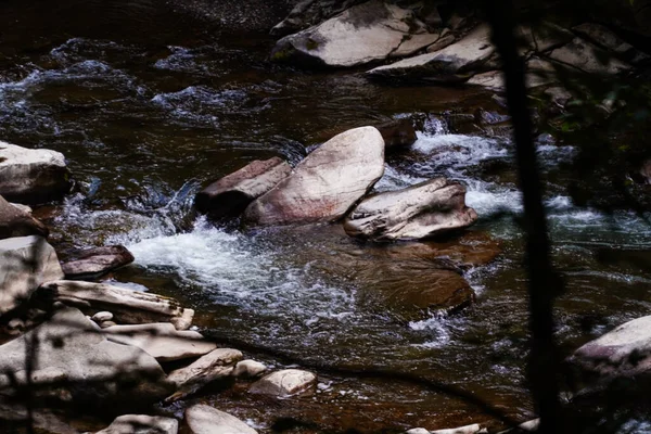 Água Áspera Nas Montanhas Fluxos Água Sobre Rochas Floresta Natureza — Fotografia de Stock