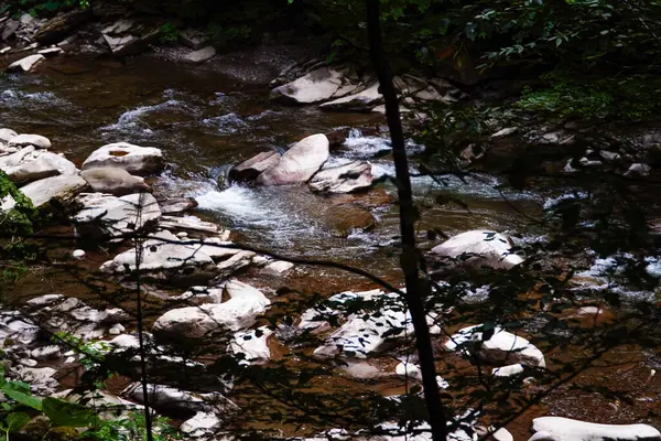 Água Áspera Nas Montanhas Fluxos Água Sobre Rochas Floresta Natureza — Fotografia de Stock