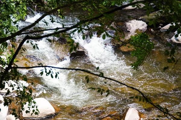 山水汹涌 水流过岩石 喀尔巴阡山脉的自然 高山泻湖 — 图库照片
