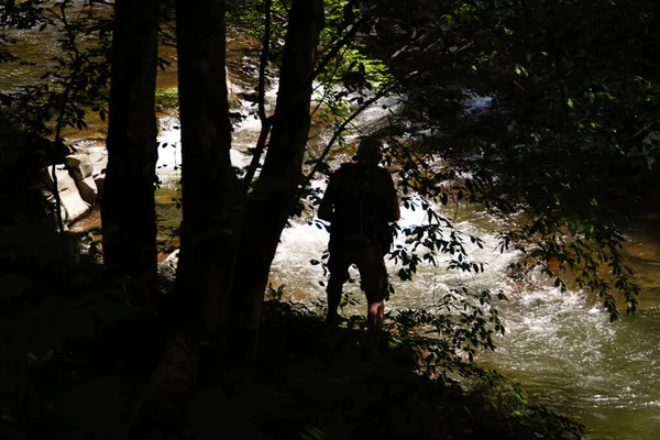 Água Áspera Nas Montanhas Fluxos Água Sobre Rochas Floresta Natureza — Fotografia de Stock