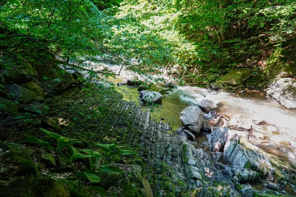 Água Áspera Nas Montanhas Fluxos Água Sobre Rochas Floresta Natureza — Fotografia de Stock