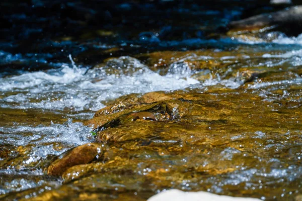 Drsná Voda Horách Voda Teče Přes Skály Les Příroda Hory — Stock fotografie