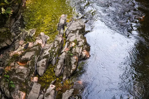 Drsná Voda Horách Voda Teče Přes Skály Les Příroda Hory — Stock fotografie