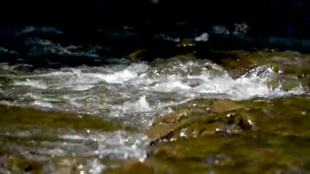 Rough Water Mountains Water Flows Rocks Forest Nature Mountains Waterfall — Wideo stockowe
