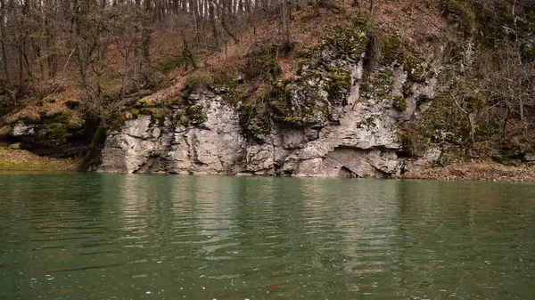 Suyun üstündeki kayalar, nehir, doğa, ilkbahar, yeşil nehir, gölet, taşlar, kayalar, ağaç